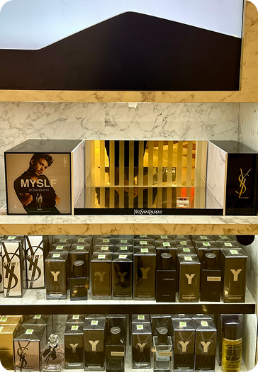 YSL X BASICO